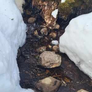 Meet your Posher, Sana